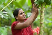 Discover Serendipol: How Fair Trade Transforms Communities
