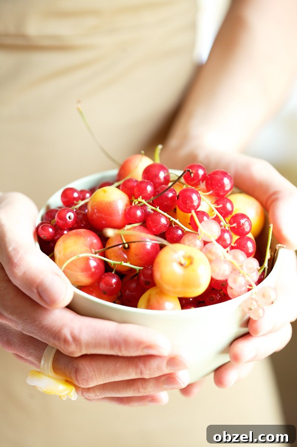 A Joyful Moment to Remember 2 red currants fruit summer groseilles rouges