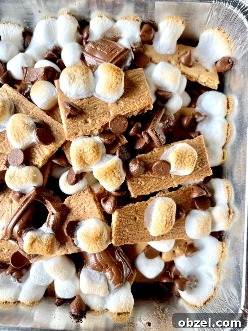 S'mores Nachos Recipe for Grill, Campfire, or Oven 2 S'mores nachos in a pan