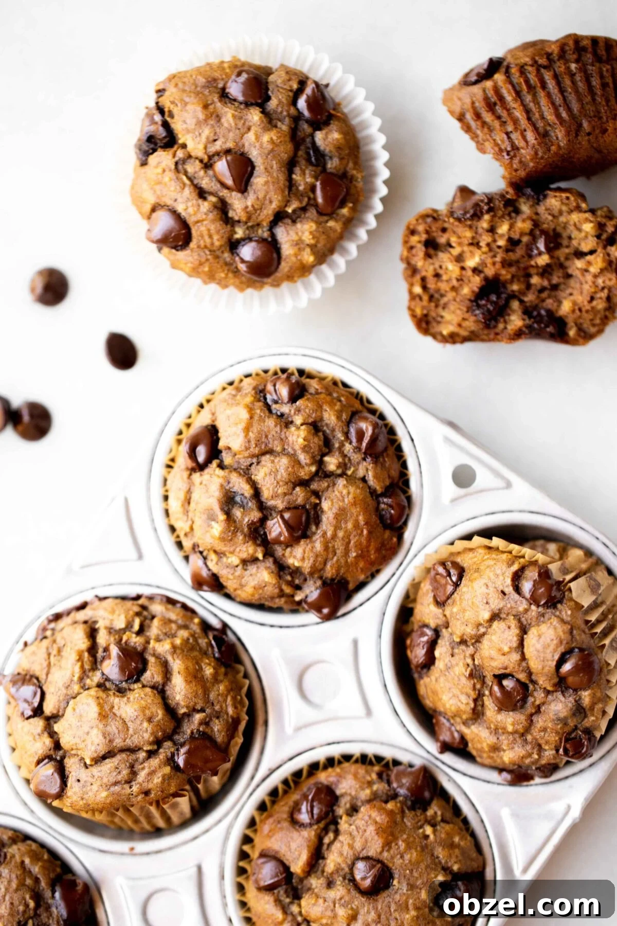 Banana Lentil Muffins: Protein-Packed Breakfast Treat 2 overhead photo of freshly baked healthy muffins, chocolate chip banana muffins, in an aluminum muffin pan with milk and chocolate chips in the background