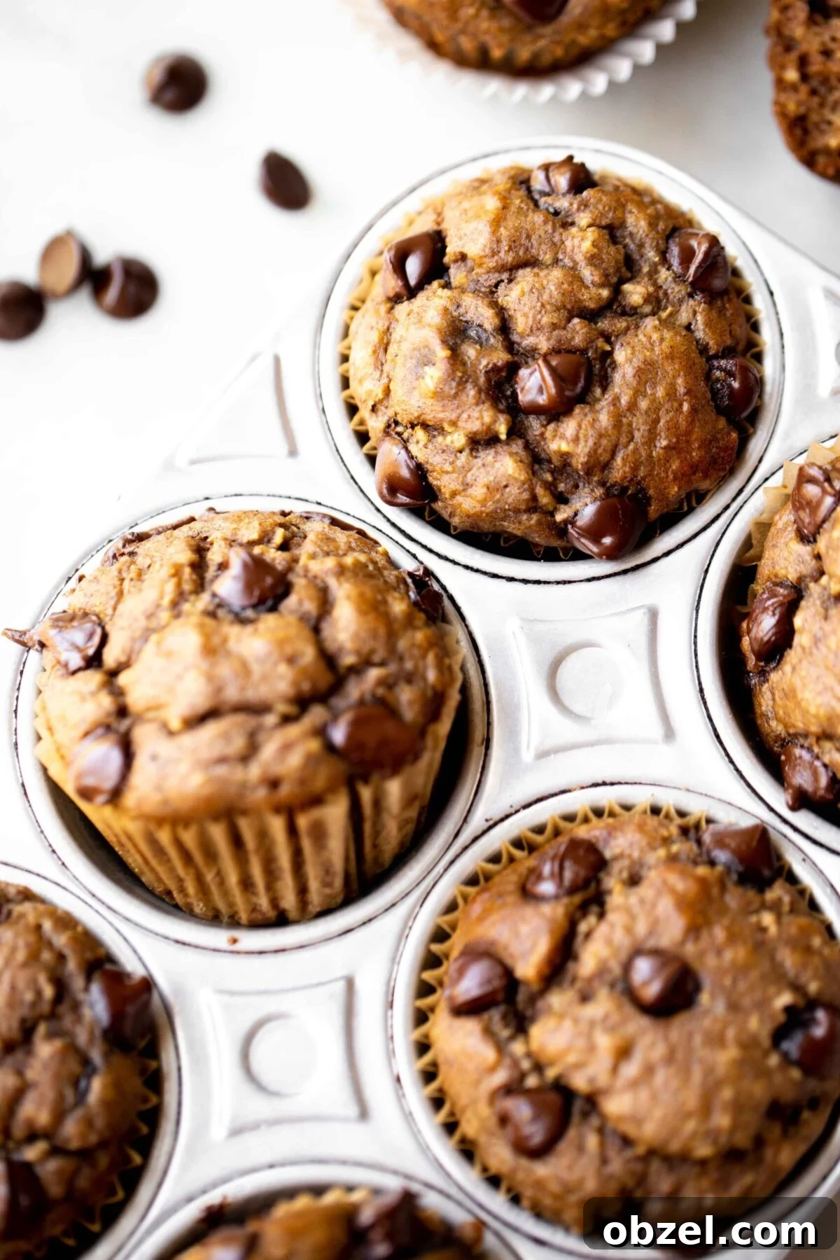 Banana Lentil Muffins: Protein-Packed Breakfast Treat 3 closeup photo at 45 degree angle of freshly baked chocolate chip banana muffins in an aluminum muffin pan on a light gray marble background