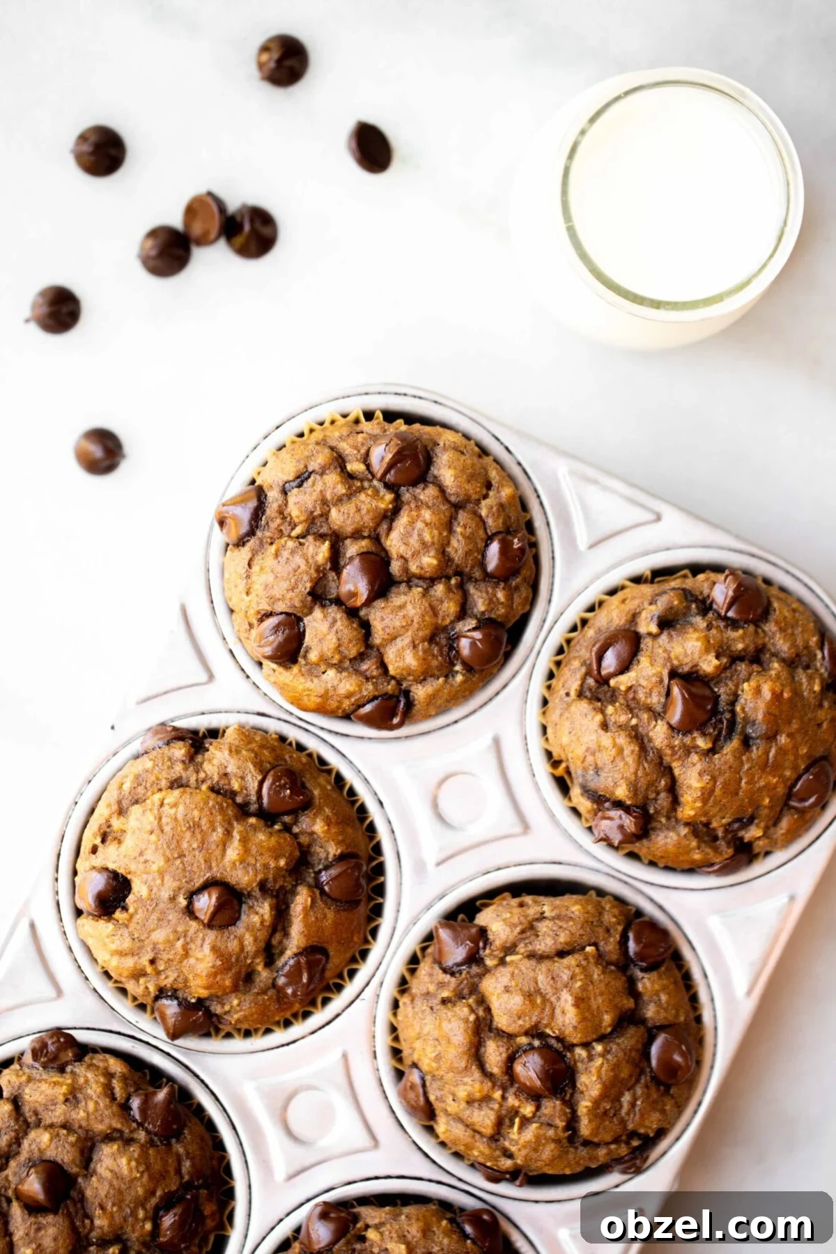 Banana Lentil Muffins: Protein-Packed Breakfast Treat 4 overhead photo of freshly baked chocolate chip banana muffins in an aluminum muffin pan with milk and chocolate chips in the background