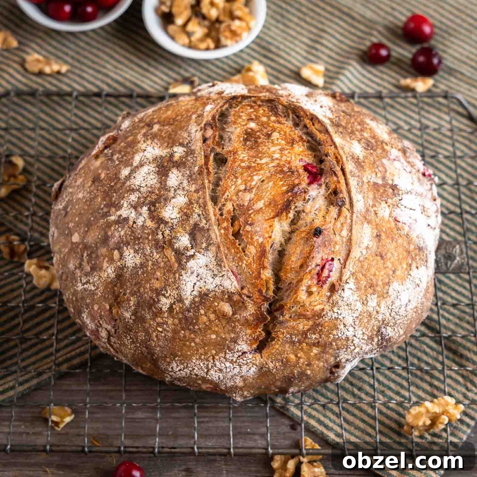 Top angled view of a baked loaf of sourdough walnut cranberry bread.