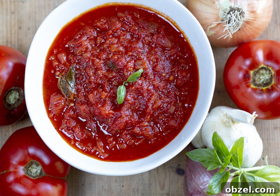 Fresh Tomato Sauce Recipe with Ripe Tomatoes 2 img 10953 1