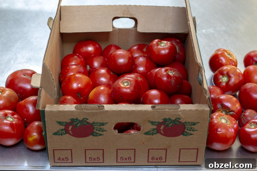 Fresh Tomato Sauce Recipe with Ripe Tomatoes 4 img 10953 3