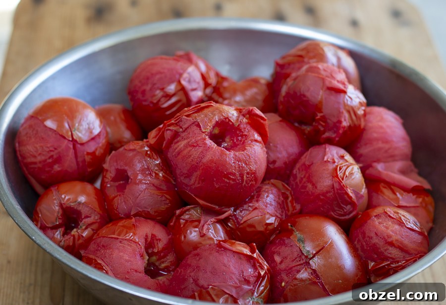 Fresh Tomato Sauce Recipe with Ripe Tomatoes 5 img 10953 4