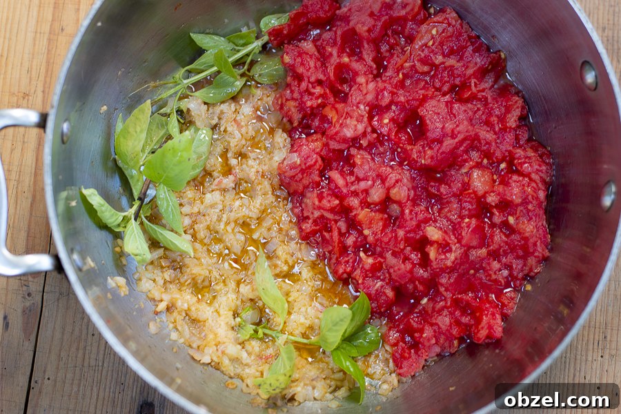 Fresh Tomato Sauce Recipe with Ripe Tomatoes 7 img 10953 6