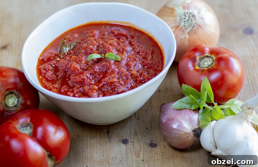 Fresh Tomato Sauce Recipe with Ripe Tomatoes 8 img 10953 7