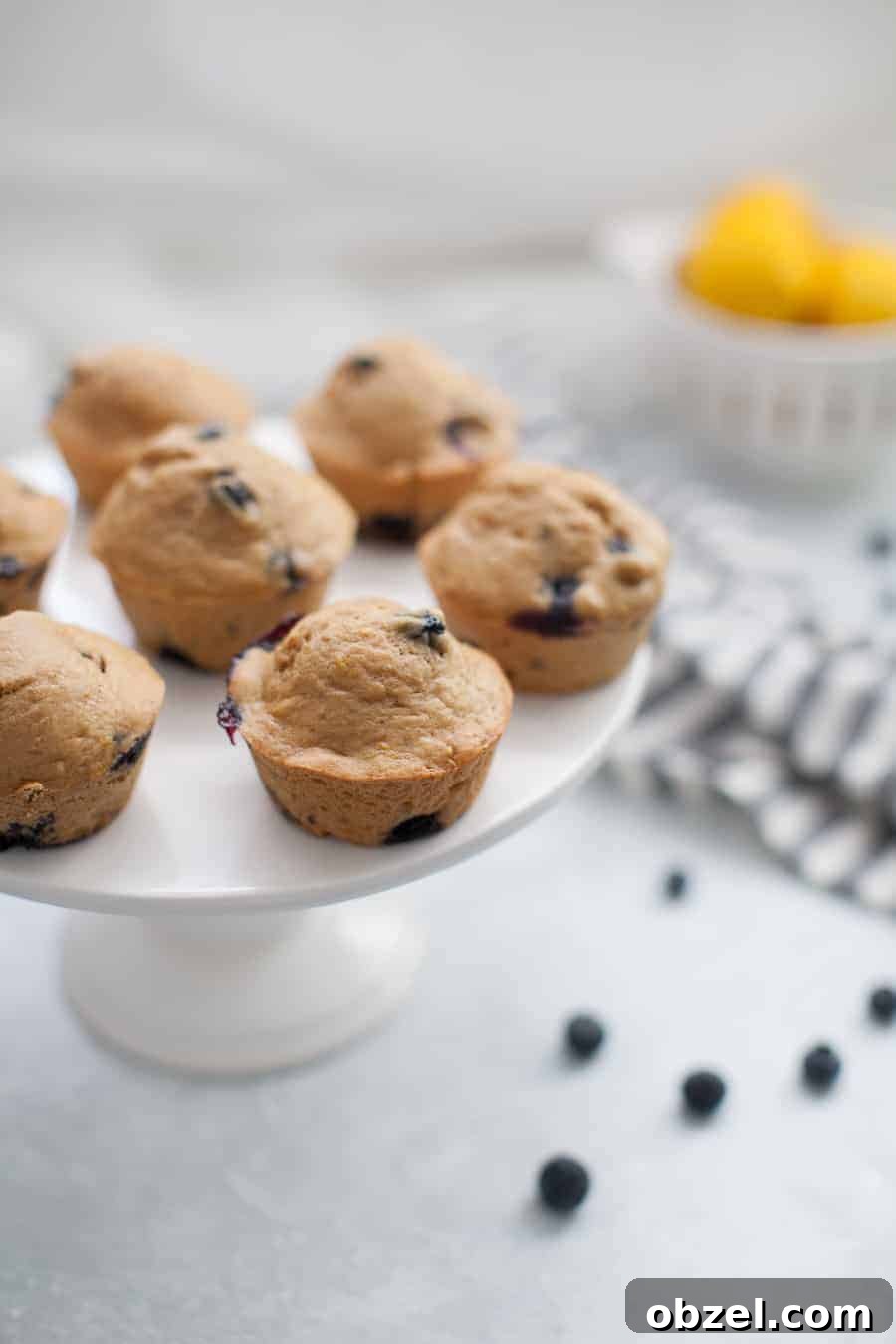 Zesty Lemon Blueberry Muffins Recipe 4 Fresh lemon blueberry muffins cooling