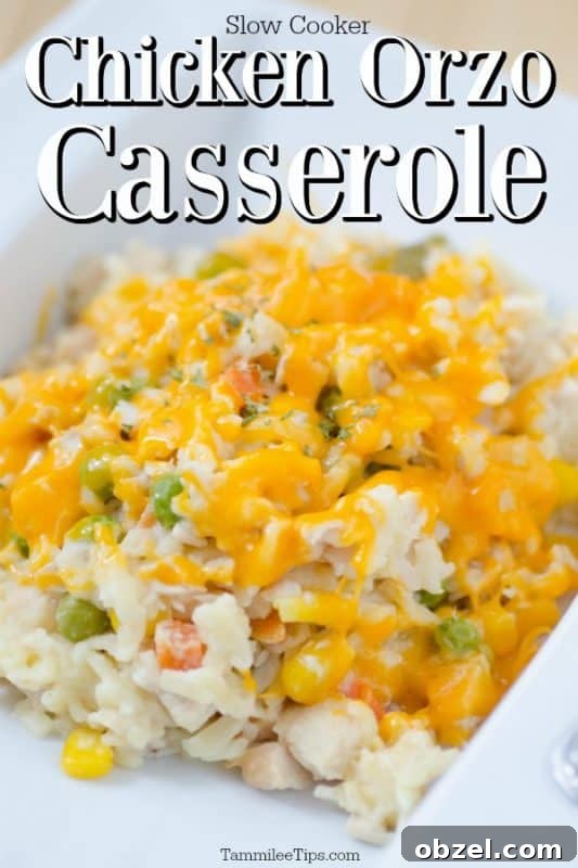 Slow Cooker Chicken and Orzo Casserole 2 slow cooker chicken orzo casserole over a white plate filled with casserole