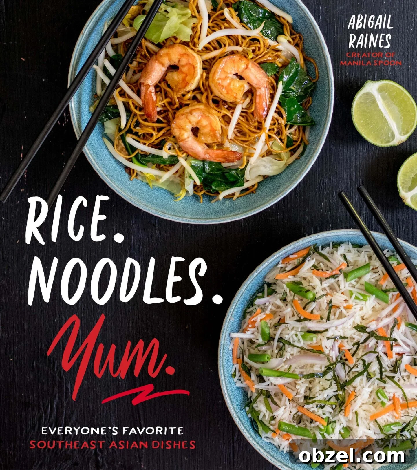 Most Popular Recipes of 2018 2 RICE NOODLES YUM cookbook and favorite recipes of 2018