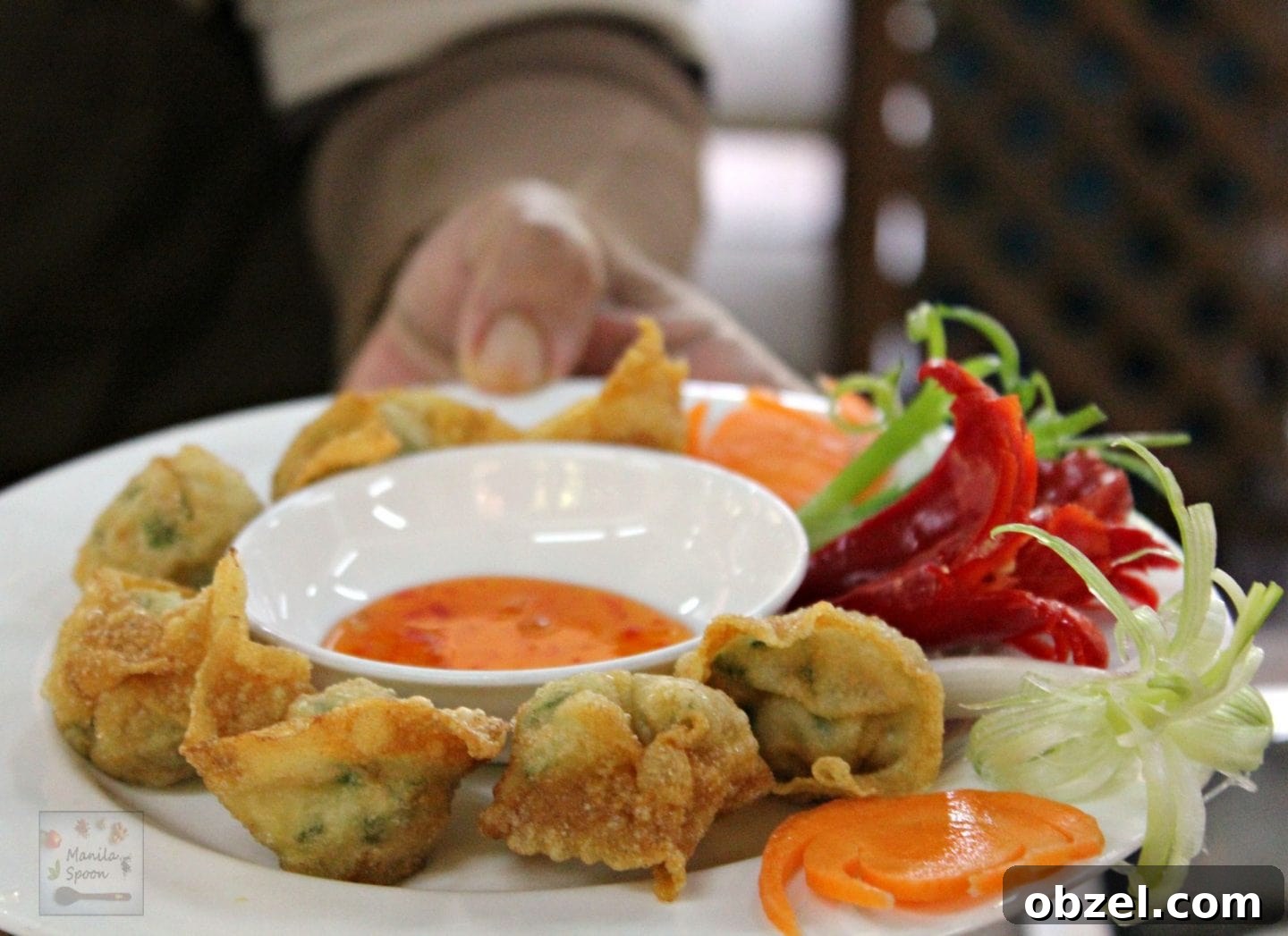 Chicken and Prawn Wontons