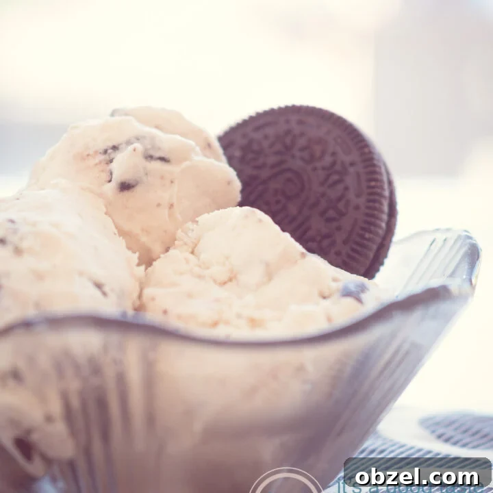 a black glass bowl with three scoops of Oreo ice cream and a cookie