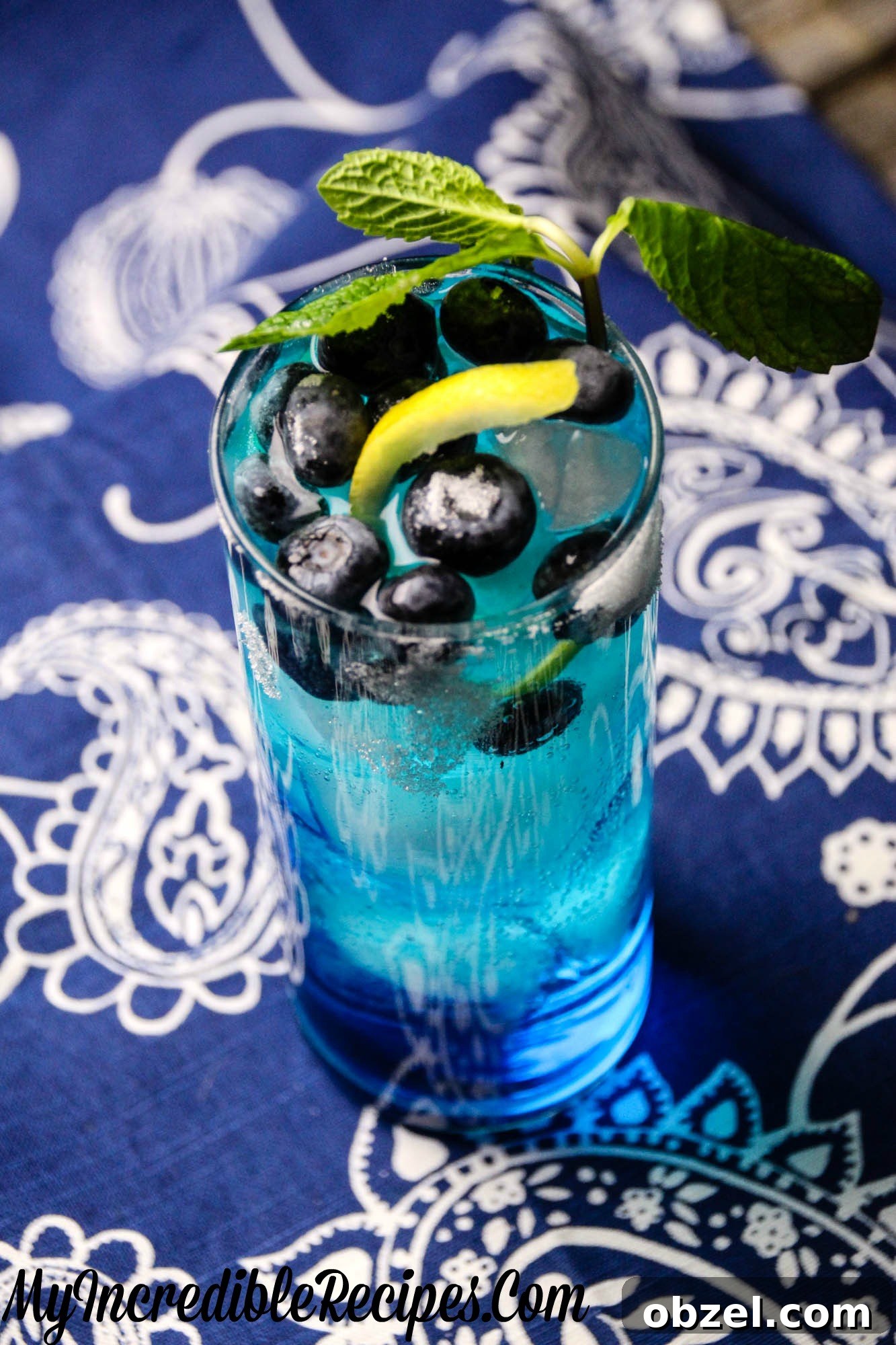Zesty Blueberry Lemonade Recipe for Summer 4 blue3