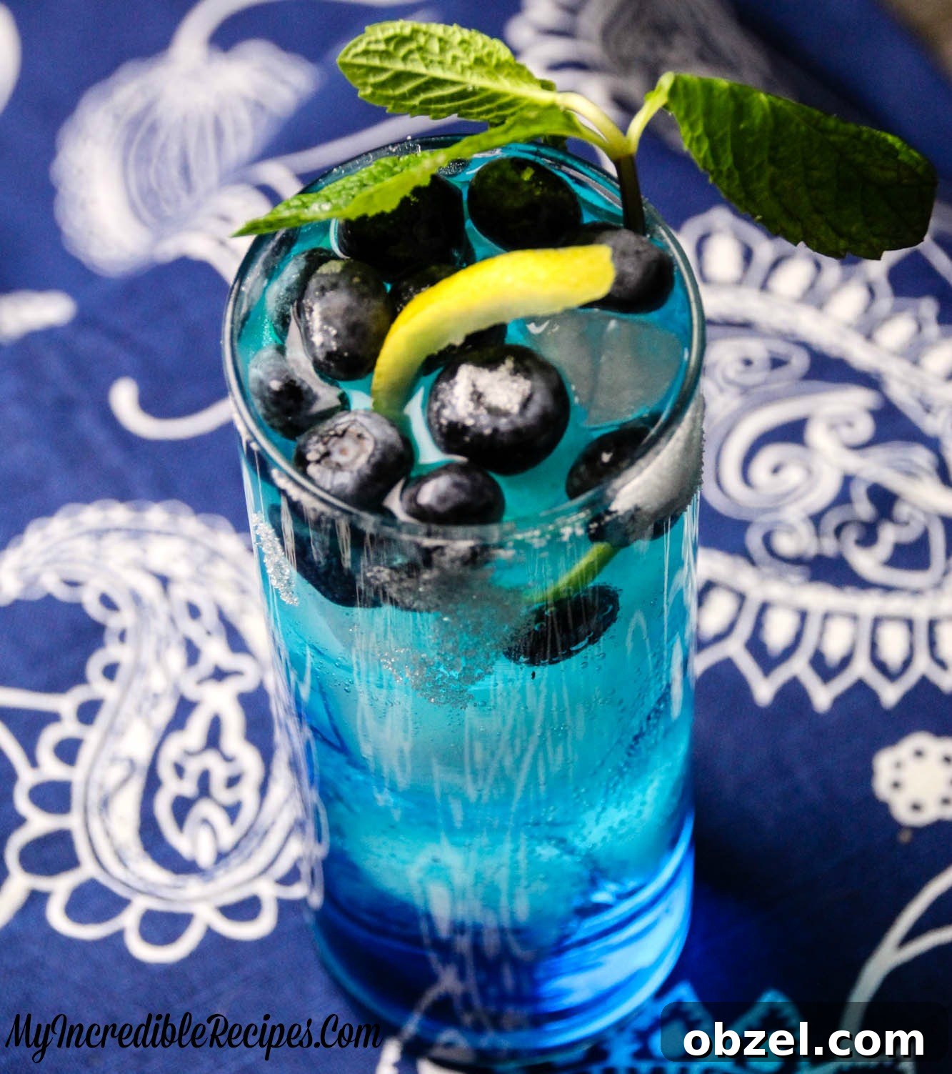 Zesty Blueberry Lemonade Recipe for Summer 7 blue4