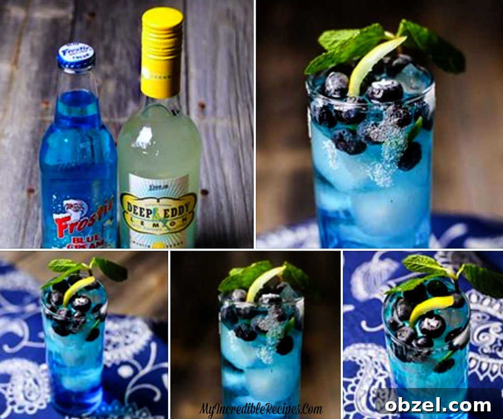 Zesty Blueberry Lemonade Recipe for Summer 8 1