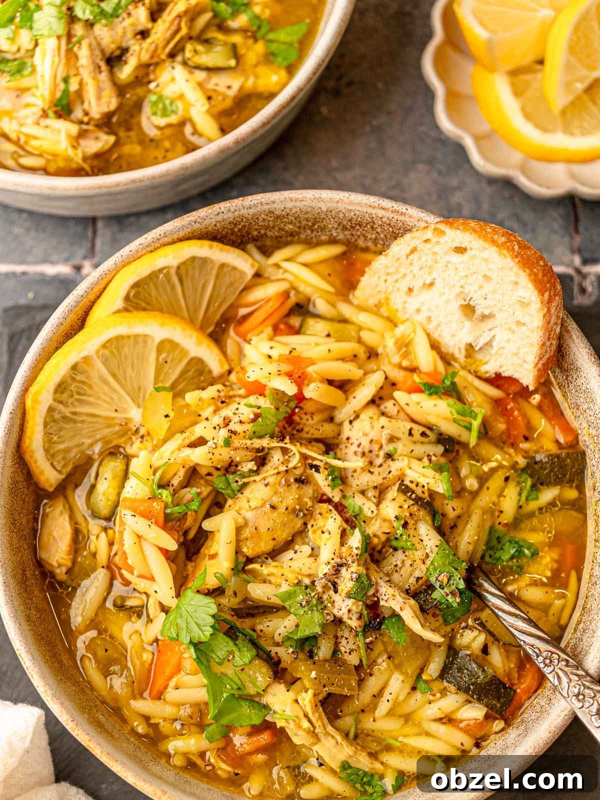 Homemade Bone-In Chicken Soup Recipe with Rich Broth 2 A bowl of orzo and chicken soup with lemon slices and a slice of bread.