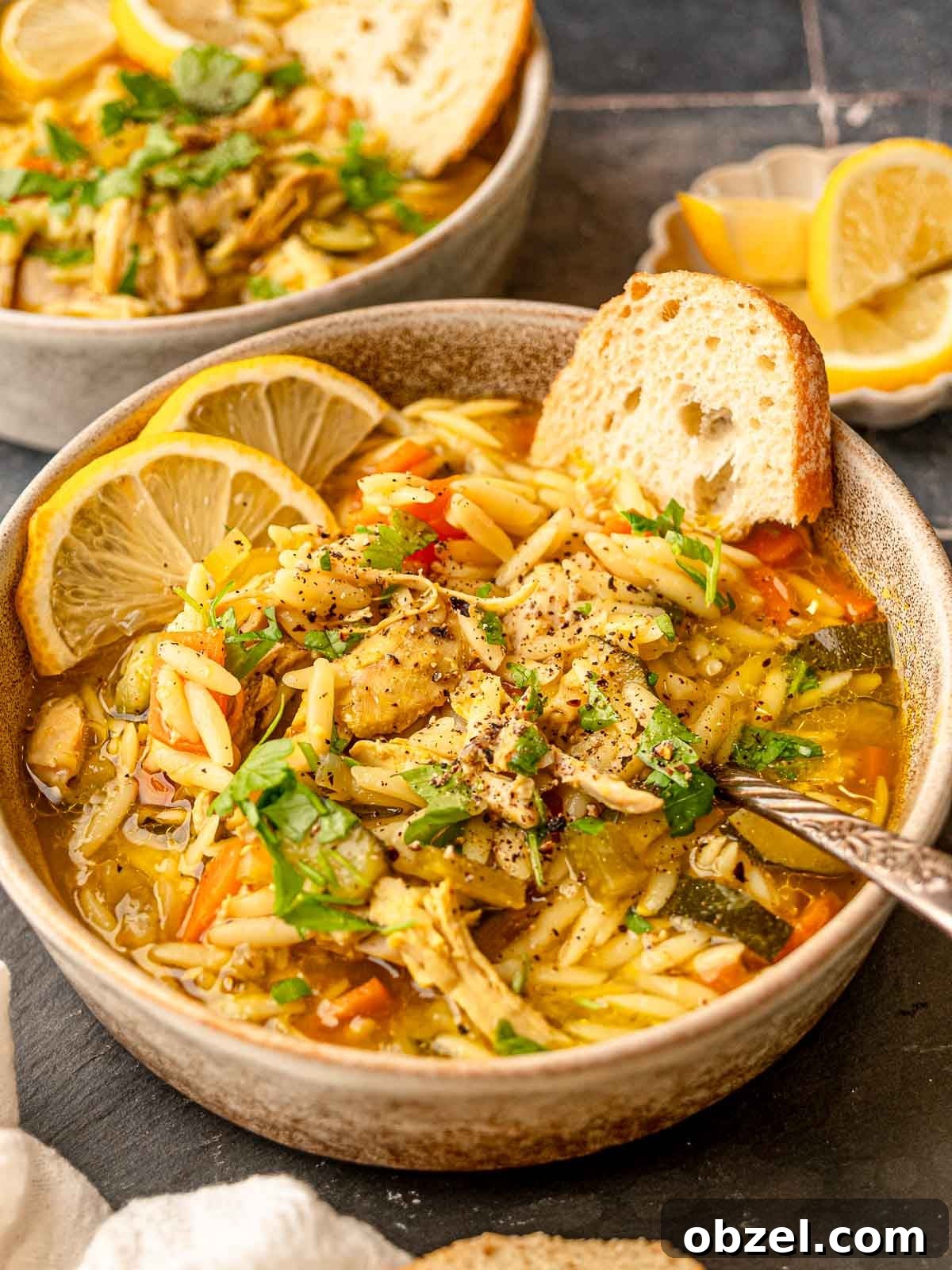 Homemade Bone-In Chicken Soup Recipe with Rich Broth 8 A spoon in a bowl of chicken and orzo soup.