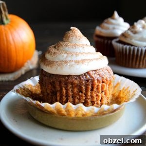 20 Gluten-Free Dairy-Free Dessert Recipes 8 Paleo Pumpkin Muffins or Cupcakes - Gluten-free, dairy-free, nut-free.