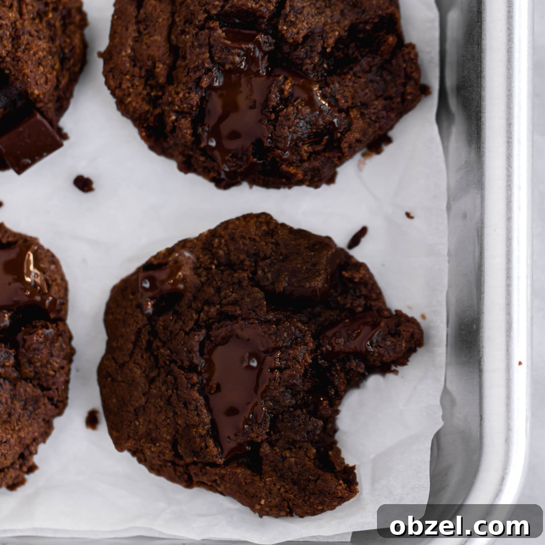 20 Gluten-Free Dairy-Free Dessert Recipes 3 Double Chocolate Fudgy Cookies - These easy delicious cookies are Paleo, gluten-free, dairy-free, with nut-free and egg-free options!