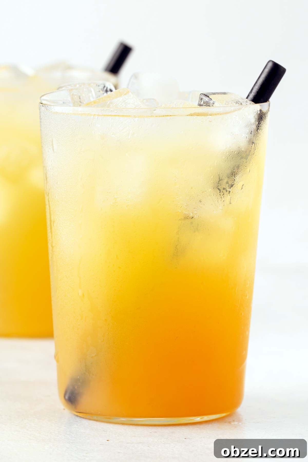 Chamomile Peach Iced Tea Recipe 2 img 1201 1
