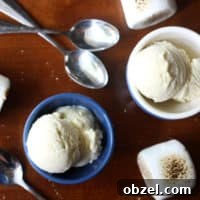 Toasted Marshmallow Ice Cream