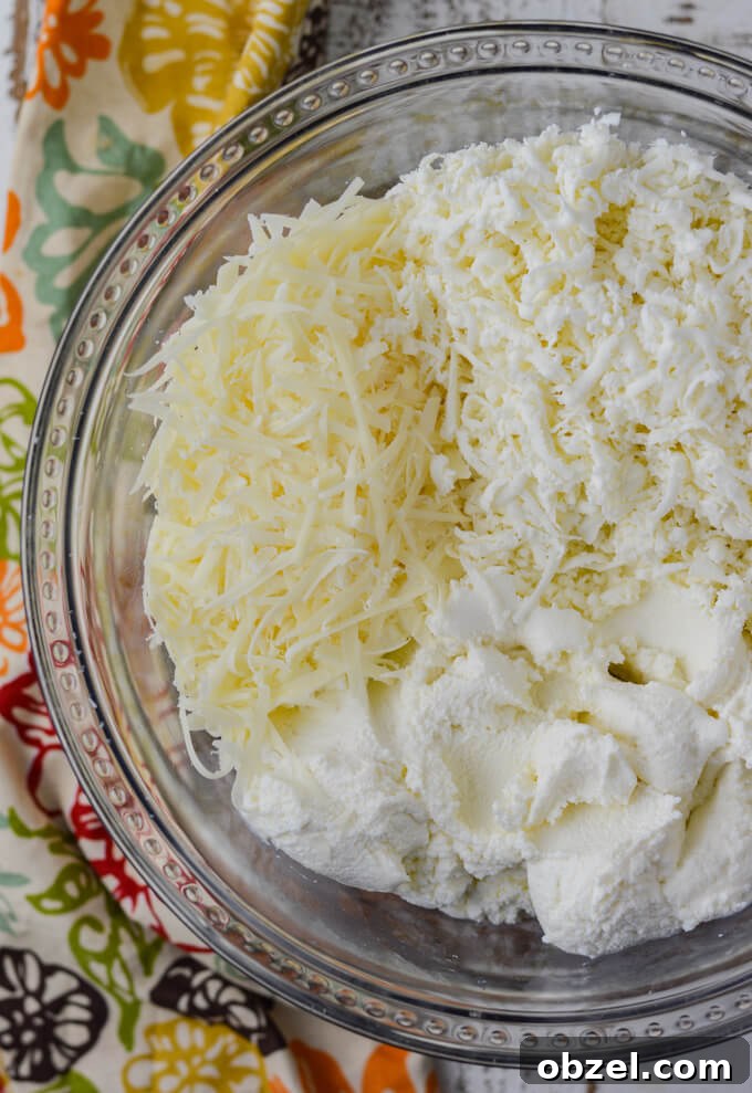 Crock Pot Lasagna Recipe with Meat Sauce 8 Ricotta, Parmesan, and mozzarella cheese for lasagna filling.