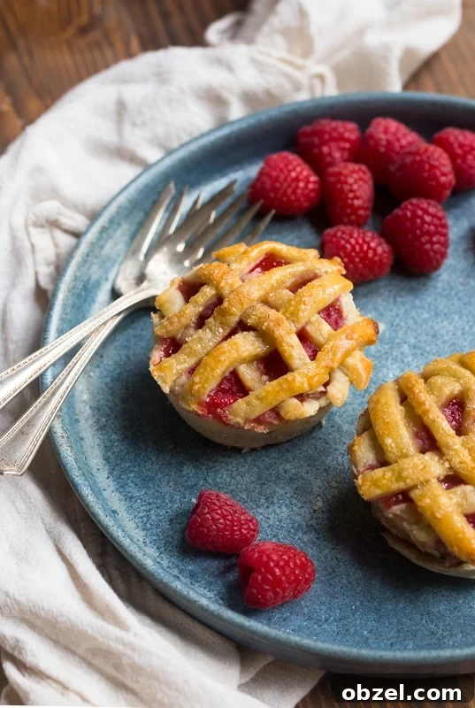 fresh-raspberry-pie fresh-raspberry-pie-mini-raspberry-pies-11
