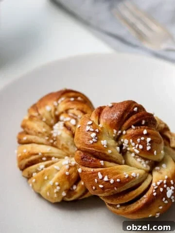 Fastelavnsboller: Norwegian Lenten Buns Recipe 11 Swedish Cinnamon Bun (Kanelbullar)