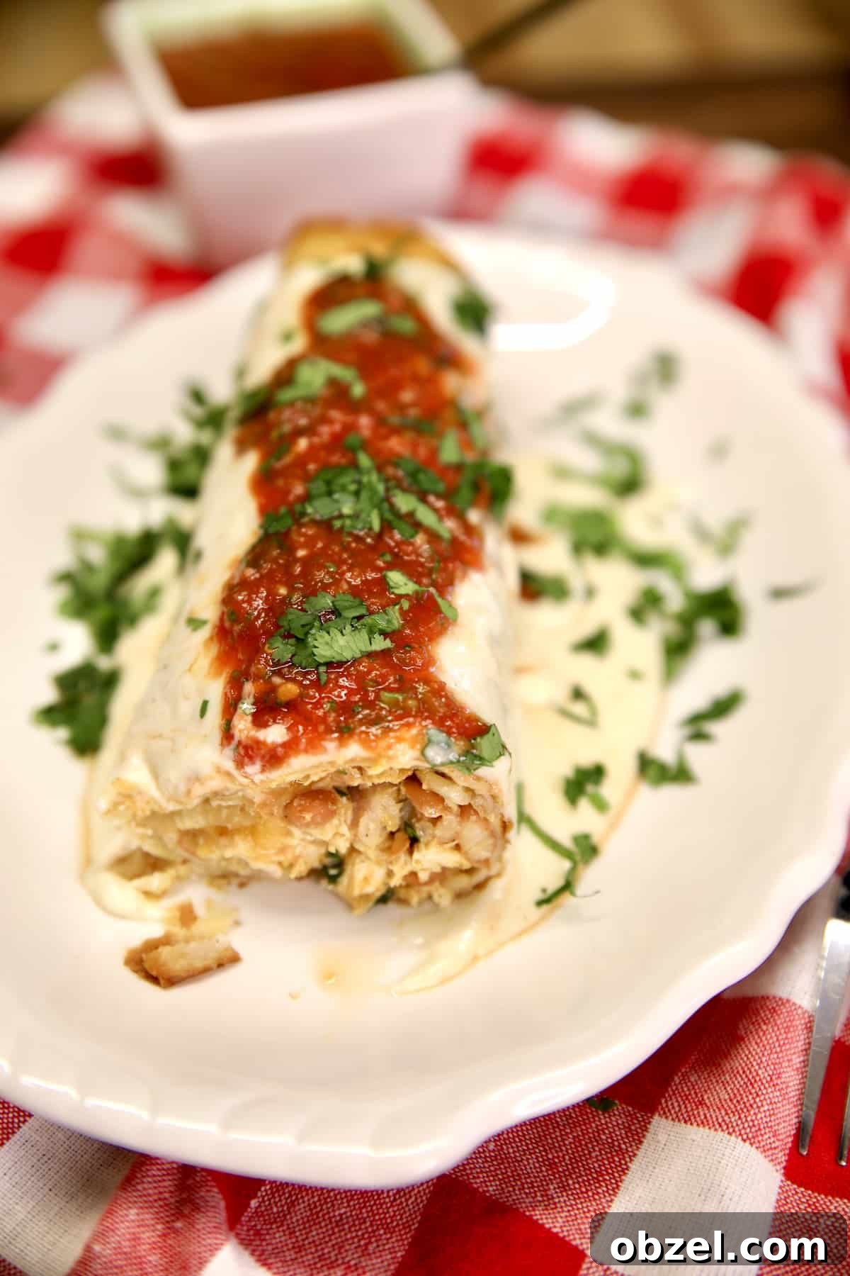 Fried Chicken Burritos Burrito with chicken, pinto beans and rice topped with sour cream sauce.