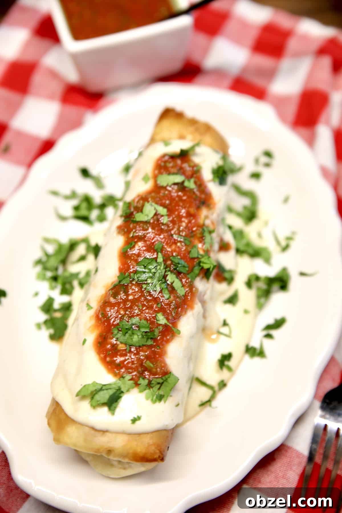 Crispy Fried Chicken Burritos with Creamy Slaw 4 Burrito on a plate topped with sour cream sauce and salsa.