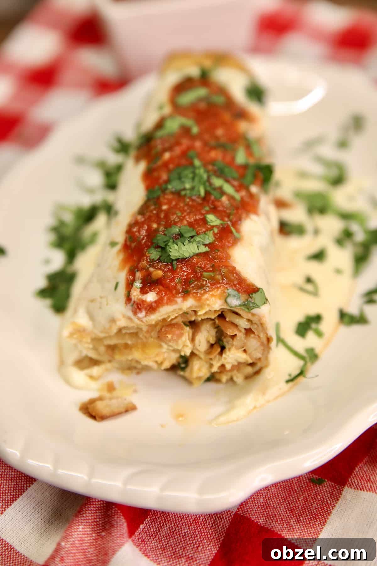 Chicken burrito with rice and pinto beans. Burrito with chicken rice and beans. Topped with sour cream and salsa.