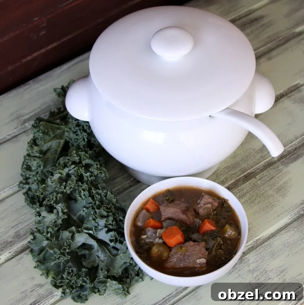 Winter Kale Beef Soup