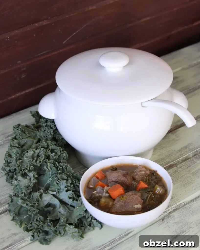 Winter Kale Beef Soup Recipe