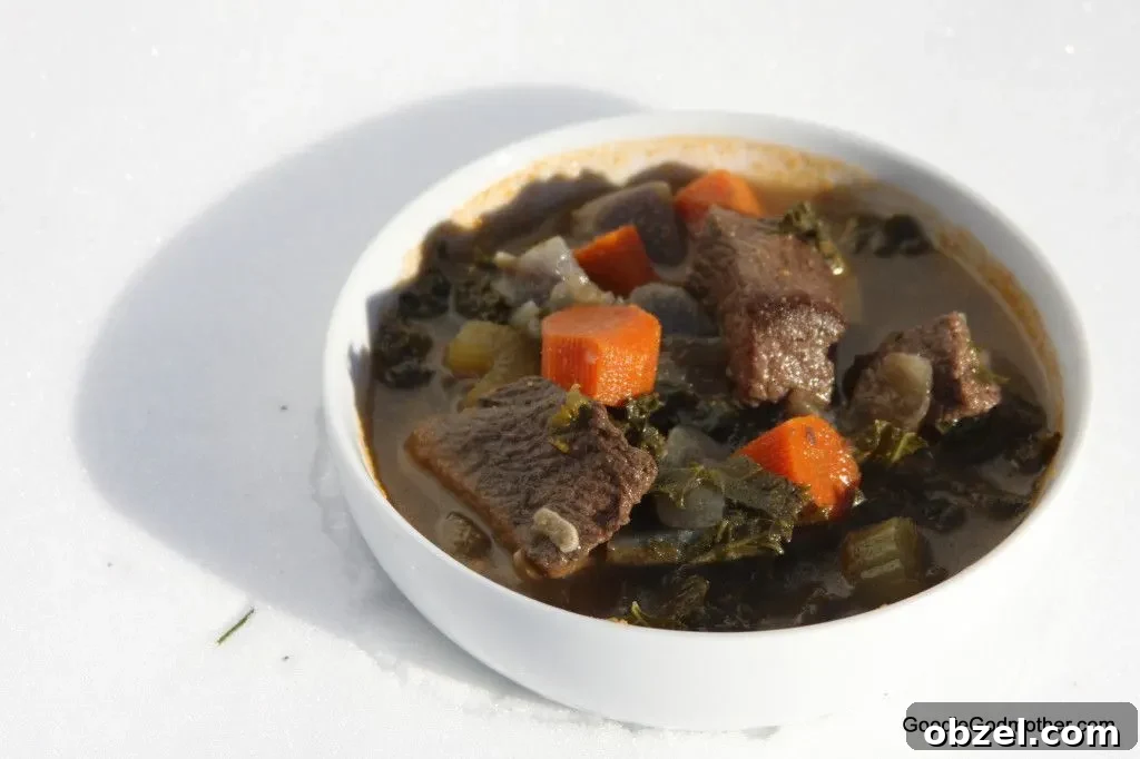 Beef Kale Soup in the Snow