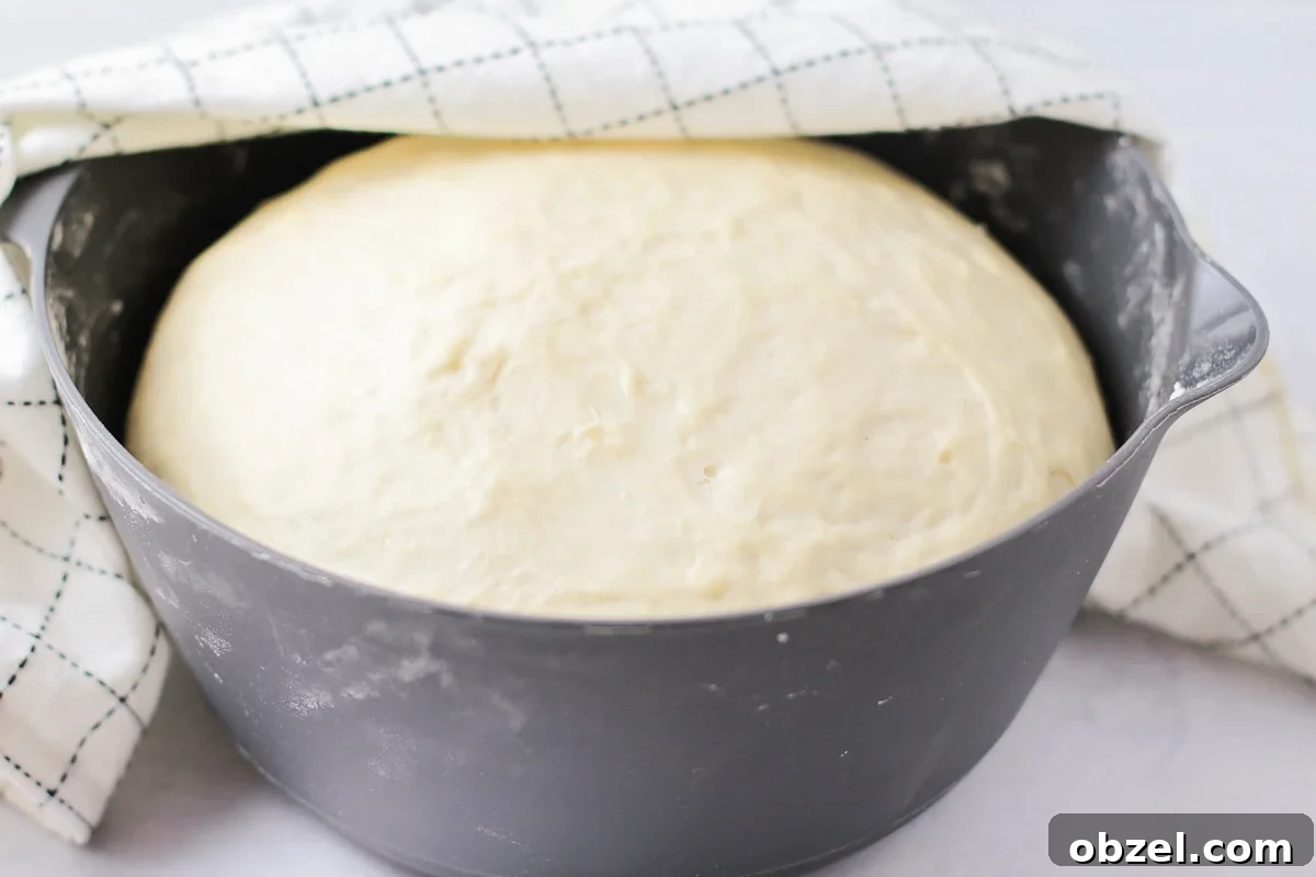 Italian bread dough rising in a bowl. Bread dough rising in a gray bowl.