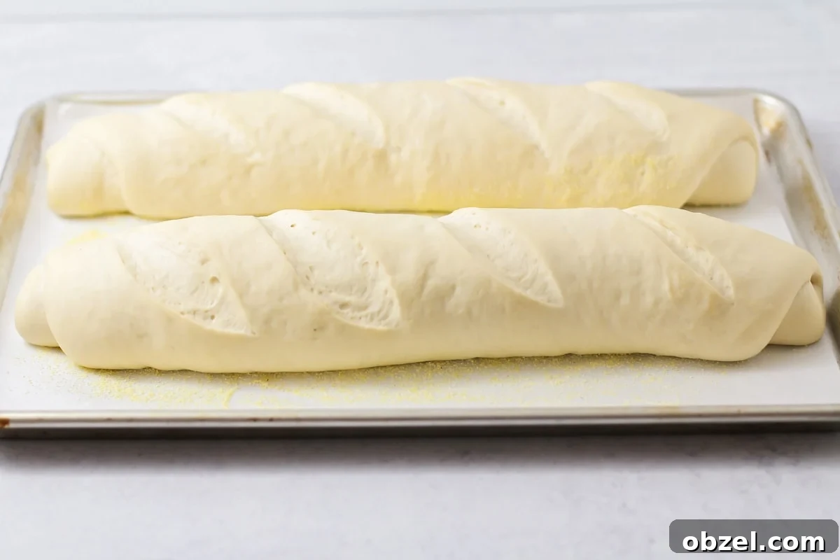 Scored Italian bread loaves ready for the oven. Scored and risen dough ready for baking.
