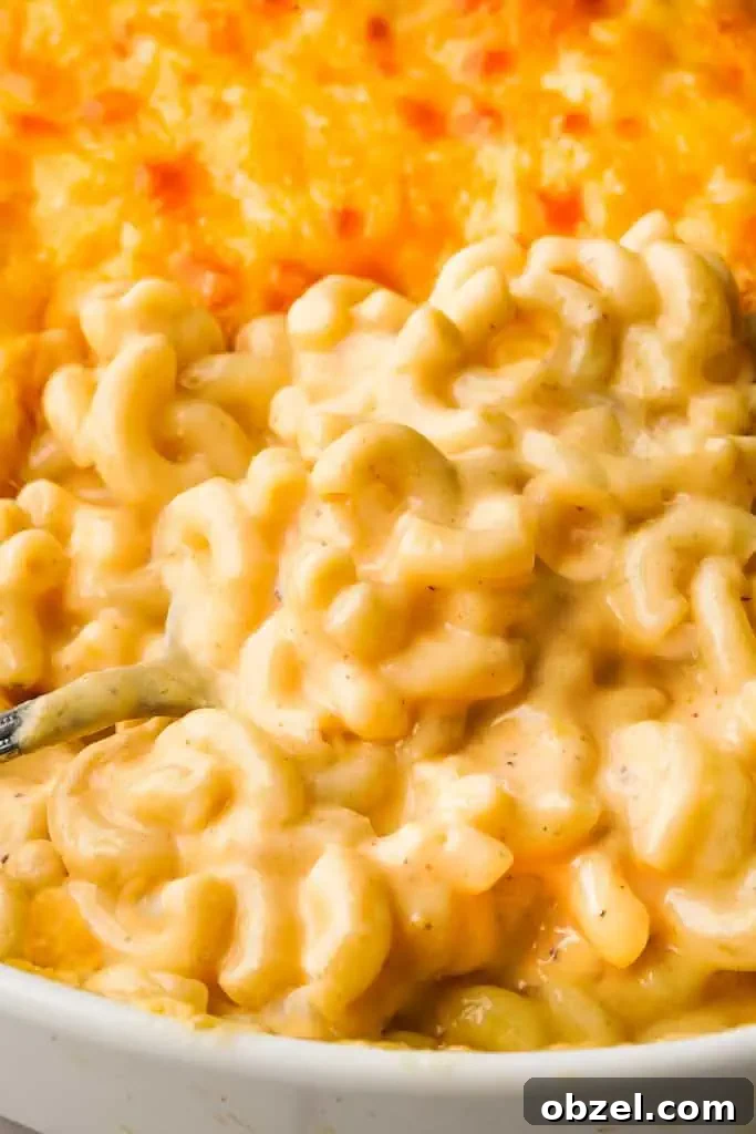 can you freeze homemade mac and cheese close up view of baked mac and cheese with a spoon inserted