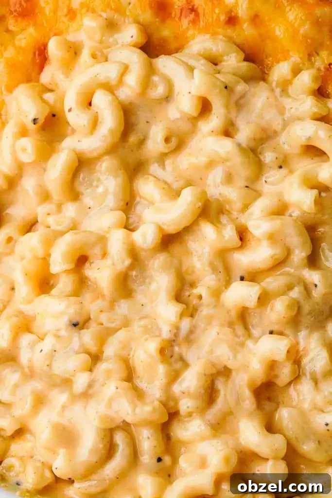 Homemade Mac and Cheese close up view of creamy baked mac and cheese