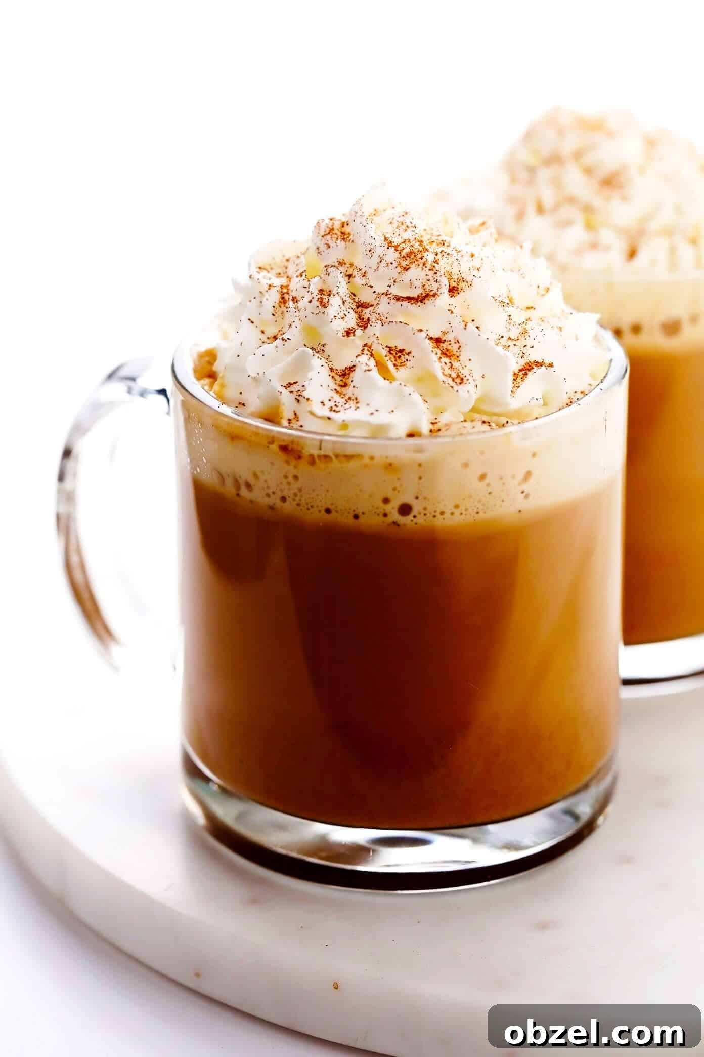 Pumpkin Spice Latte with Whipped Cream and Pumpkin Pie Spice Homemade Pumpkin Spice Latte with Whipped Cream and Pumpkin Pie Spice