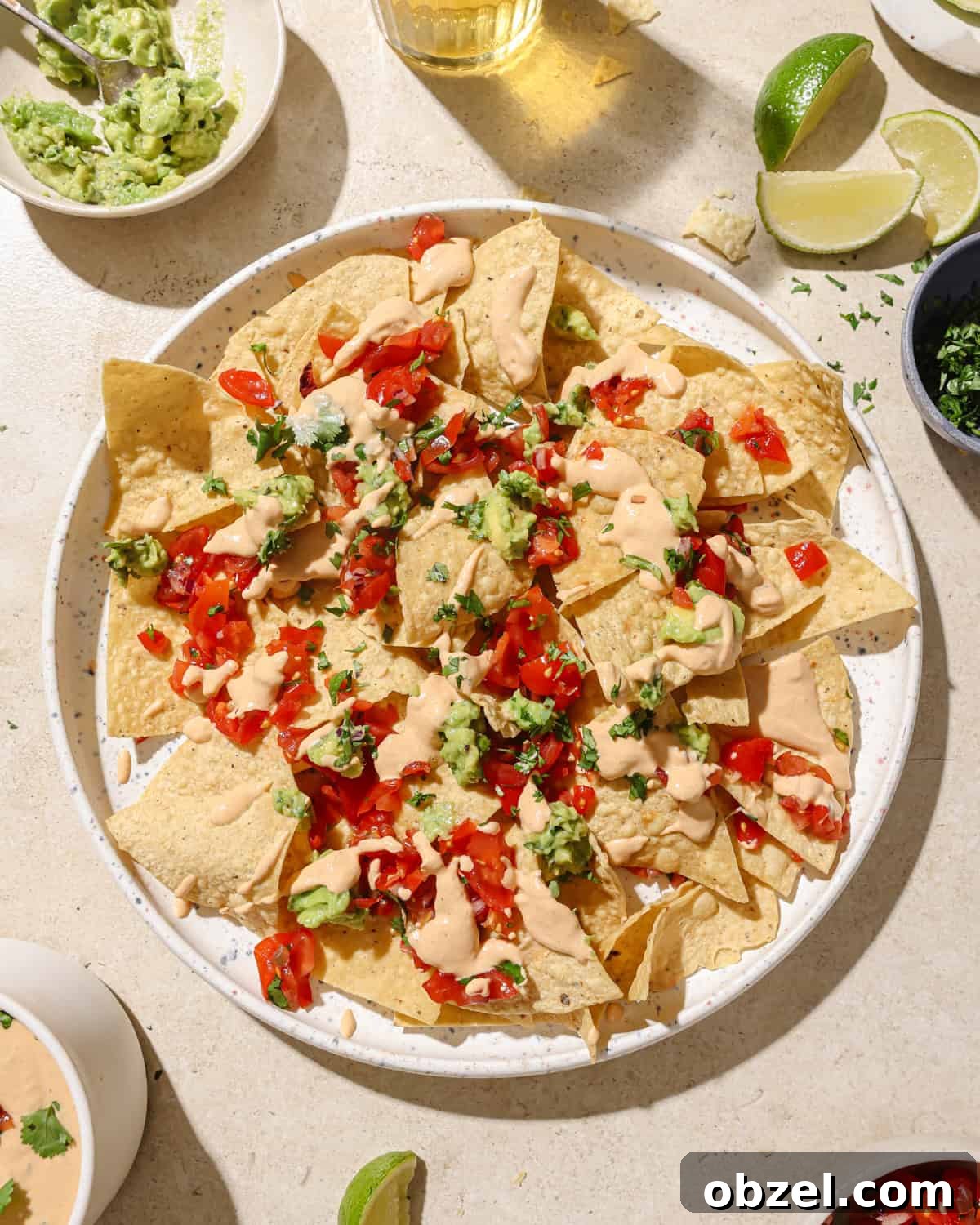 Creamy Vegan Queso Dip 11 plate of tortilla chips covered in queso, salsa and guacamole.