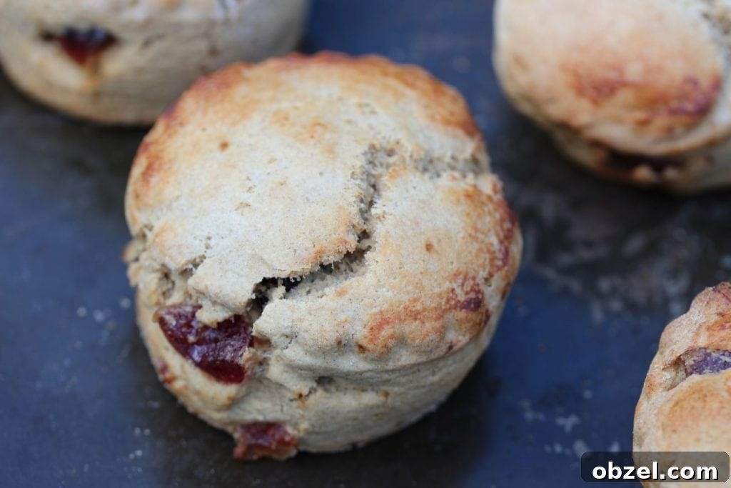 How to Make Milk Kefir plus Dairy Free Kefir Recipes 5 Gluten free cherry scones. A milk kefir recipe.