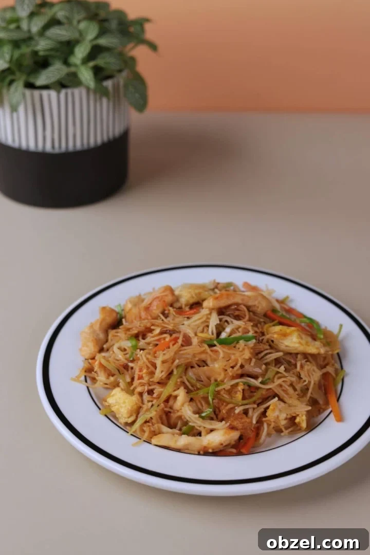 Chicken Mei Fun Recipe with Stir-Fried Rice Noodles 2 Chinese chicken mei fun home-style noodle recipe served on a white plate.