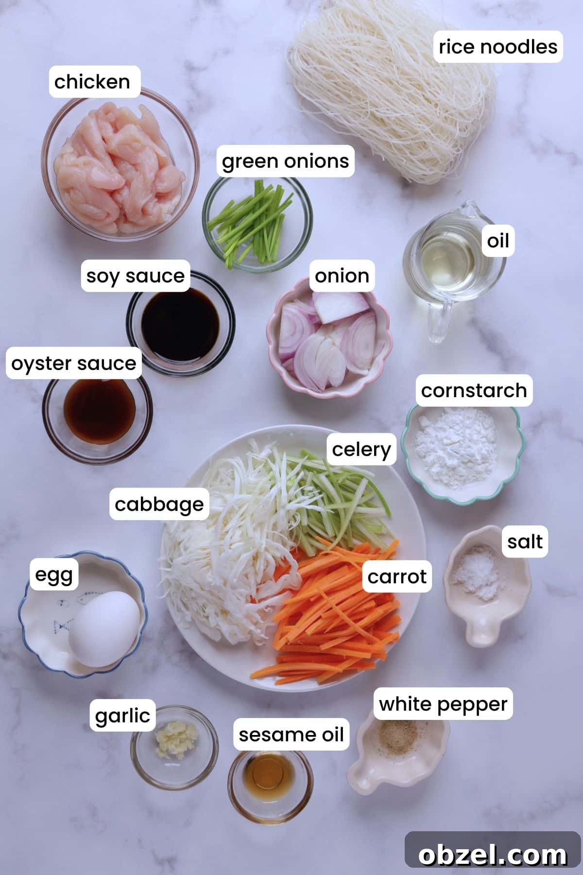 Chicken Mei Fun Recipe with Stir-Fried Rice Noodles 3 Prepared ingredients for chicken mei fun on a white background.