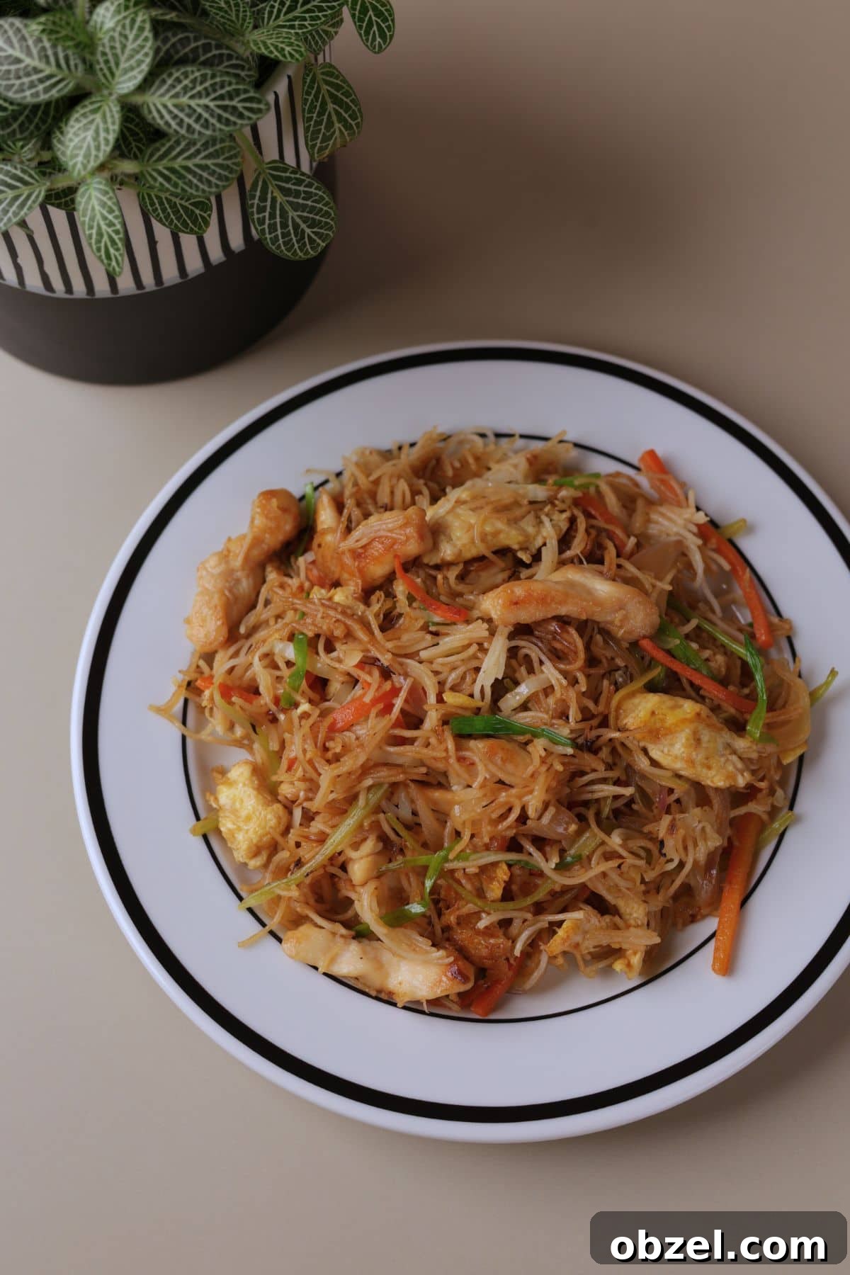 Chicken Mei Fun Recipe with Stir-Fried Rice Noodles 7 Chicken mei fun noodles with vegetables on a white plate.