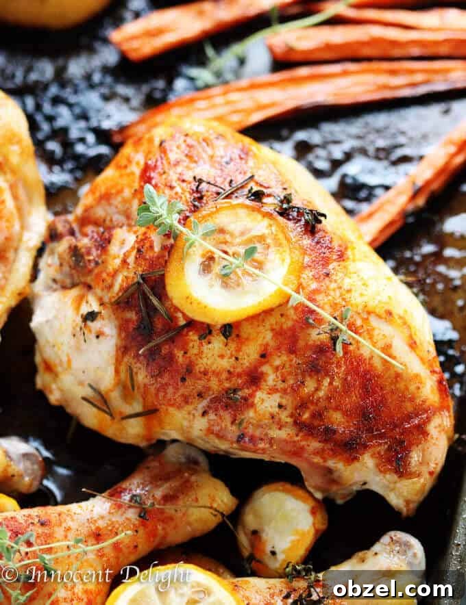 Braised Chicken with Carrots and Leeks Recipe 3 One Pan Herbed Lemon Chicken with Veggies Recipe - quick and easy dinner that requires minimal preparation that takes 5 minutes. The oven does the job for you.
