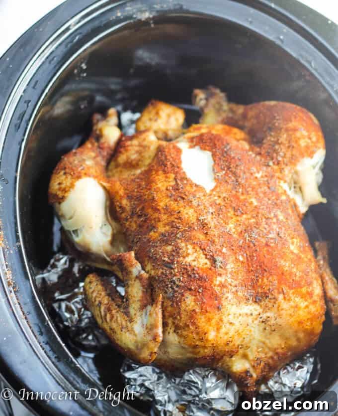 Braised Chicken with Carrots and Leeks Recipe 6 Slow Cooker Whole Roasted Chicken