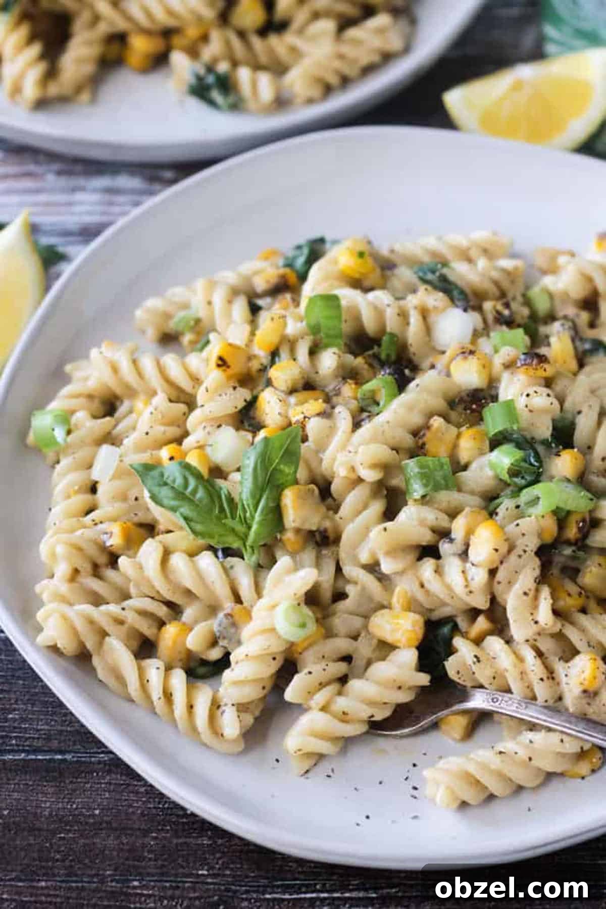 Close up of rotini noodles on plate.