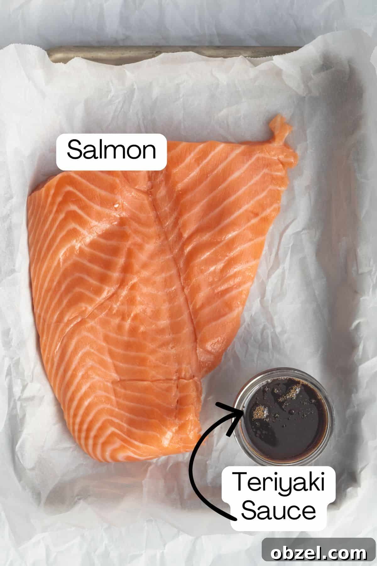ingredients for teriyaki salmon.