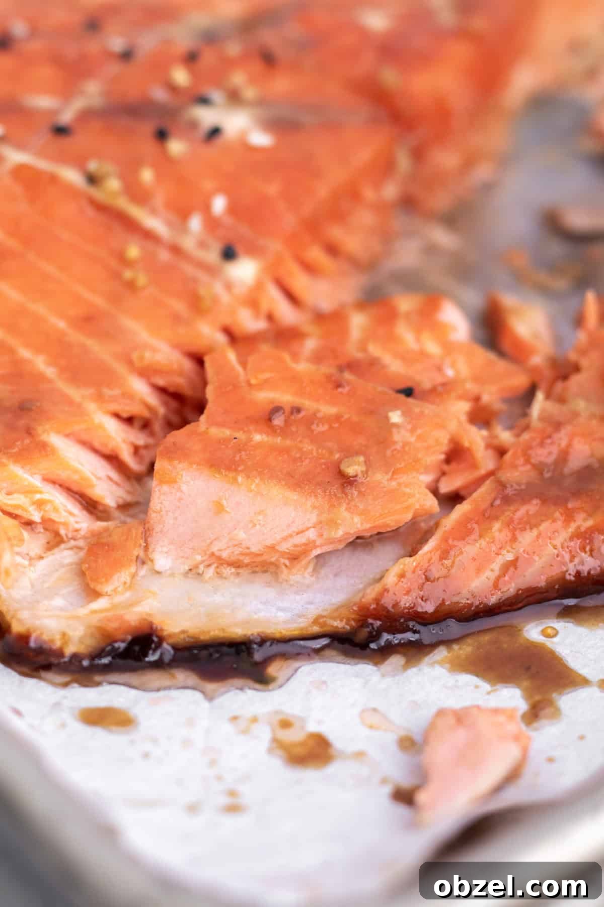 inside of a cooked piece of salmon.
